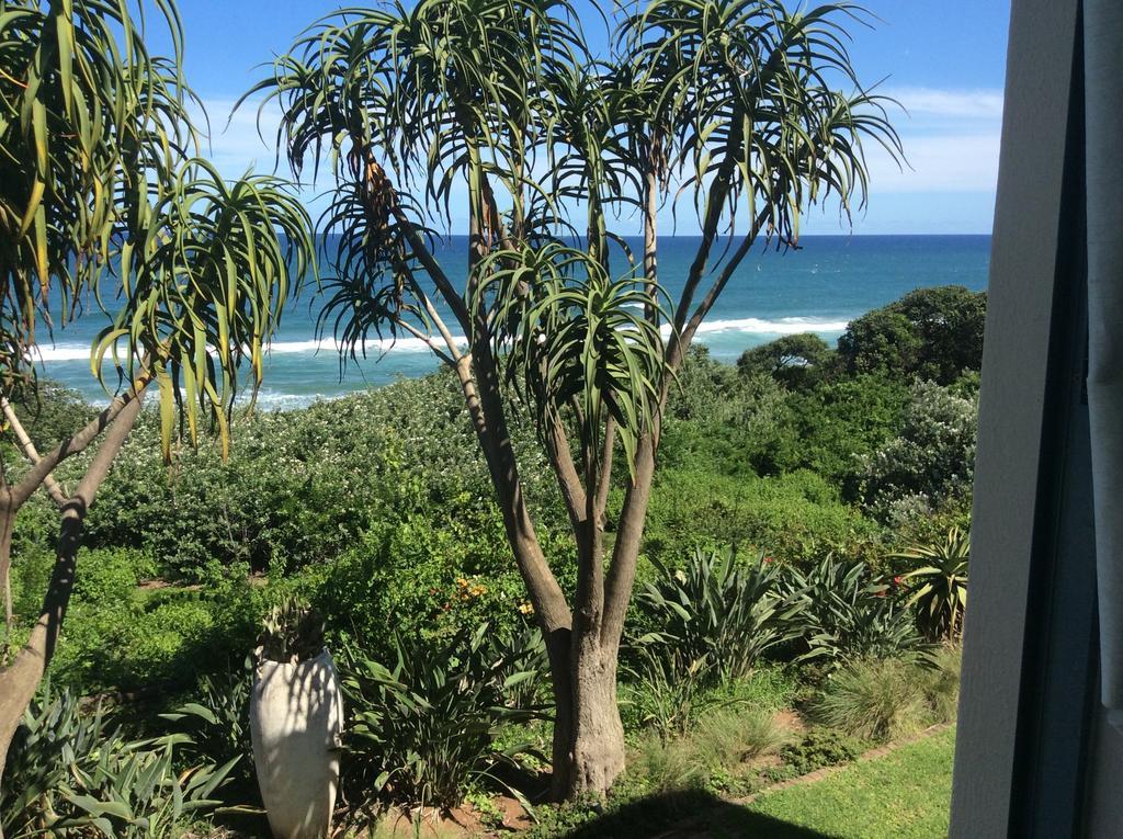 Misty Blue Bed And Breakfast Durban Room photo