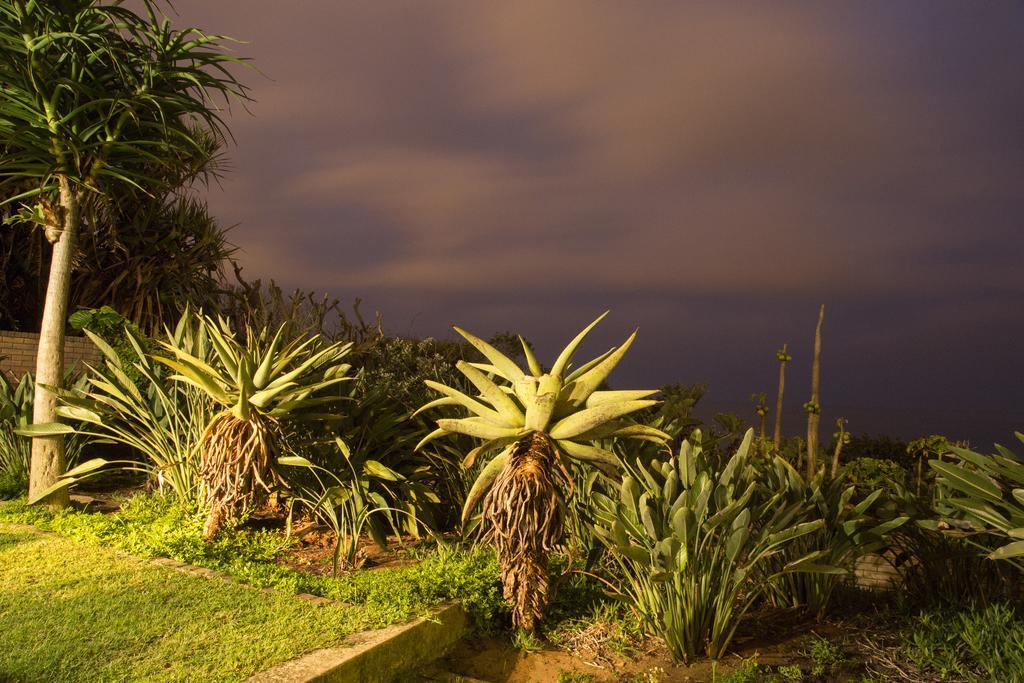 Misty Blue Bed And Breakfast Durban Exterior photo