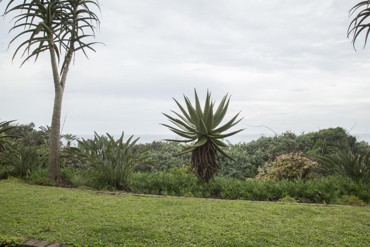 Misty Blue Bed And Breakfast Durban Exterior photo
