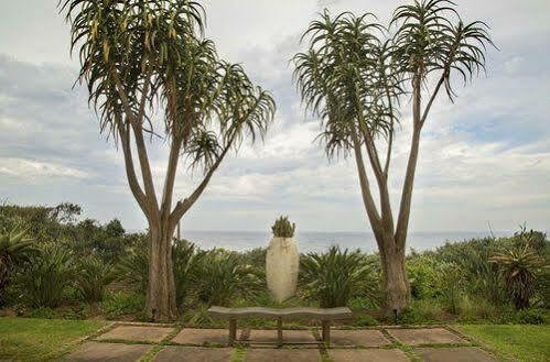Misty Blue Bed And Breakfast Durban Exterior photo